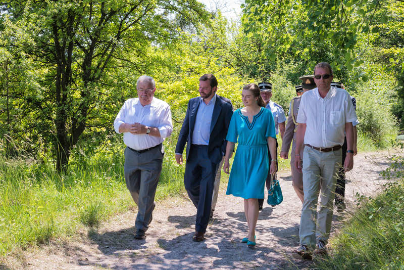 Aarnescht 05.06.15-1