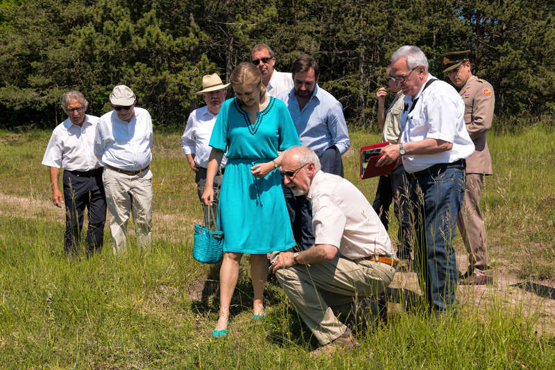 Aarnescht 05.06.15-8