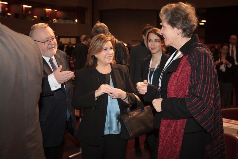 resize03-RED CROSS PLENARY