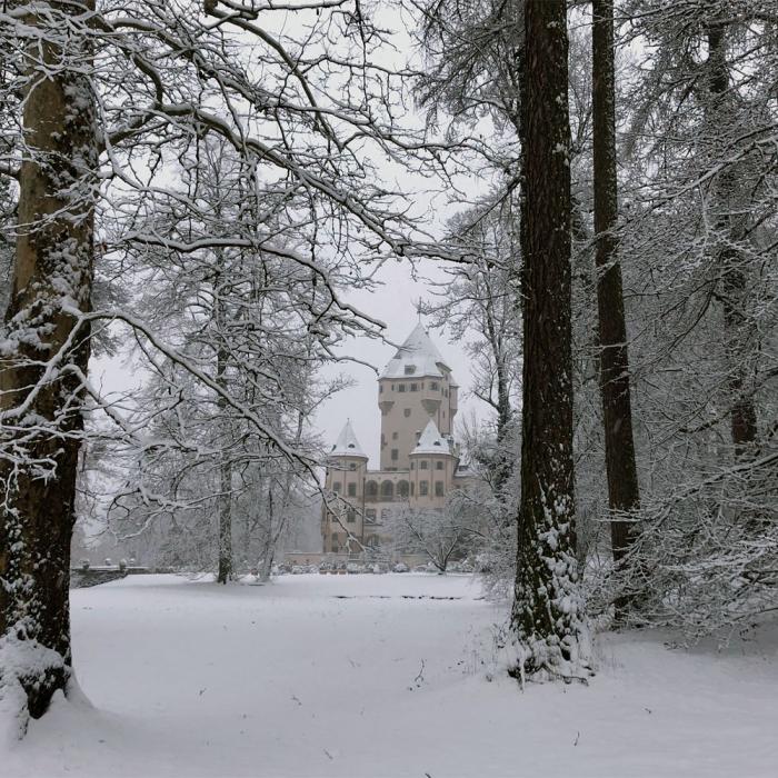 January 2019: Berg Castle in the snow